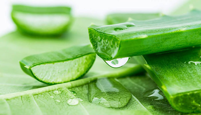 gel-duong-am-nha-dam-gangbly-aloe-99-1360