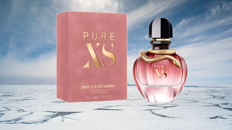 Mùi Hương Pure Xs: Bí Quyết Gây Thương Nhớ trong Mùa Đông