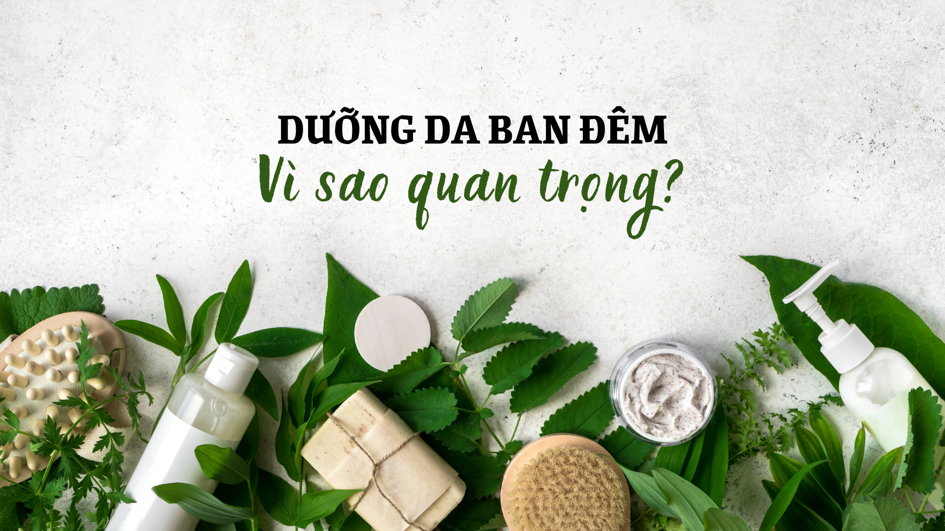 Tại sao dưỡng da ban đêm lại quan trọng trong quy trình chăm sóc da?